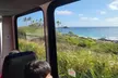 16 Locations Oahu Circle Island Tour: Driver, Local Guides, Lifeguard & Snorkeling with Turtles(Up to 50%Off)  - Second Medium