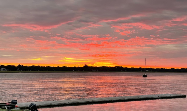 What to expect media