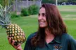 Oahu See It All Circle Island Tour with 10+ Stops including Snorkeling with Turtles! - Second Medium