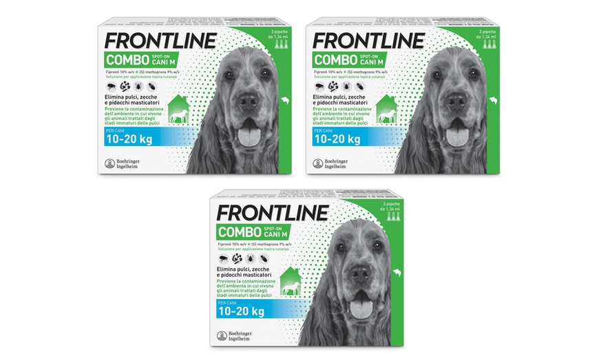 Image 8: Fino a 9 pipette Frontline Combo Spot-On per cani