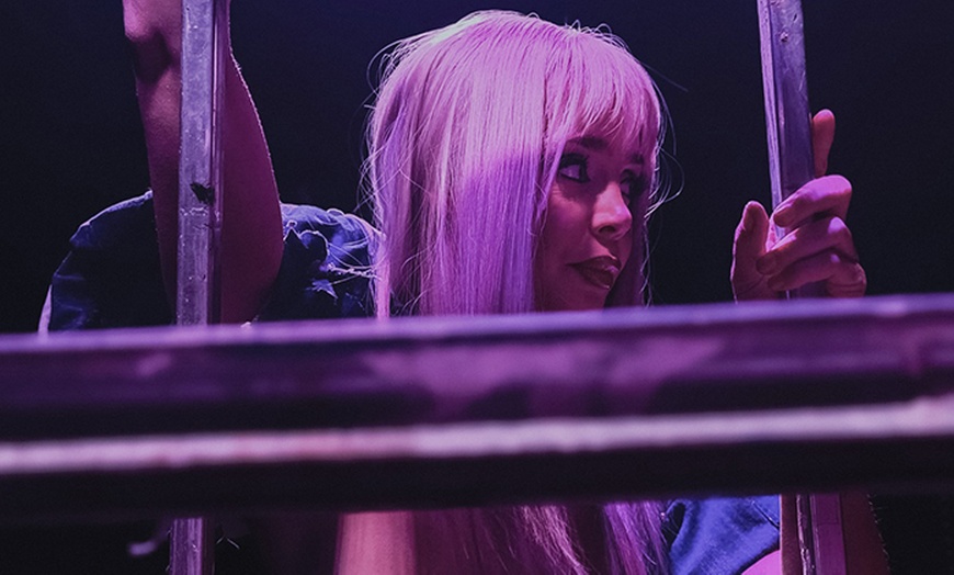 Image 2: Apéro spectacle "NUDE" ou "DIVAS" à La Venus