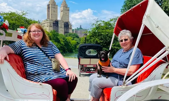 Horse Drawn Carriage Rides at Central Park Carriage Tours
