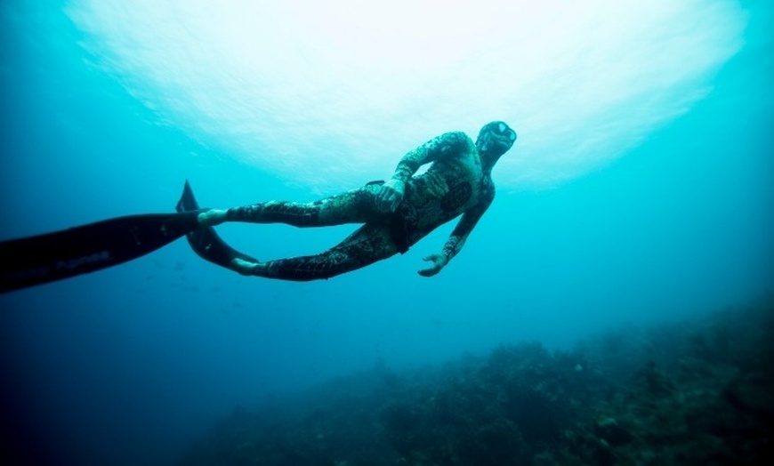 Image 5: Beginner Freediving Course