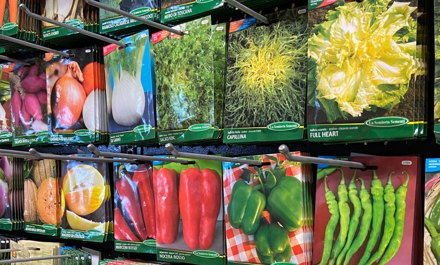 Image 9: 31% Off Plants and Gardening Supplies at Garden World