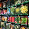 Image 9: 31% Off Plants and Gardening Supplies at Garden World