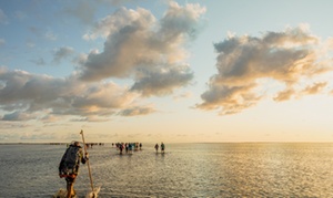 De Wadden: 1-2 nachten nachten incl. wellness