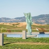 Image 12: 28% Off Outdoor Wine & Charcuterie Box at Artesa Winery
