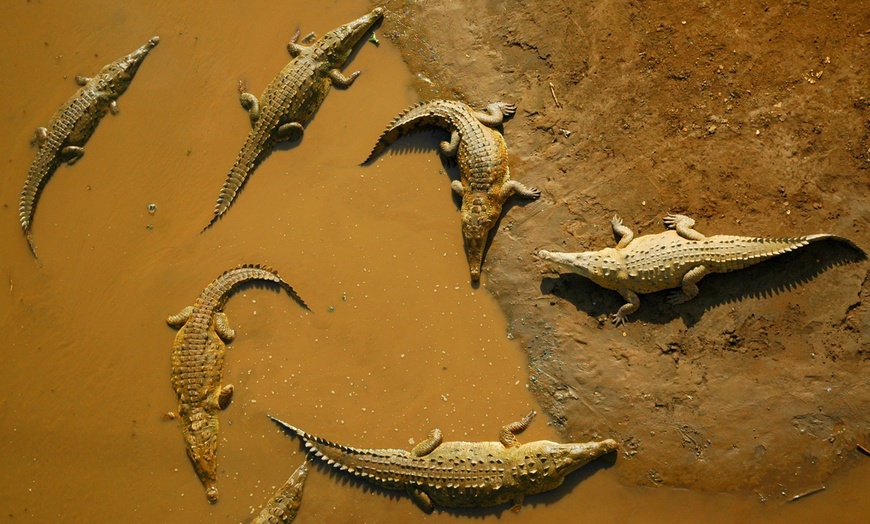 Image 12: ✈ 12-Day Ultimate Costa Rica RoadTrip w/ Air, Hotel & Car from Worldee