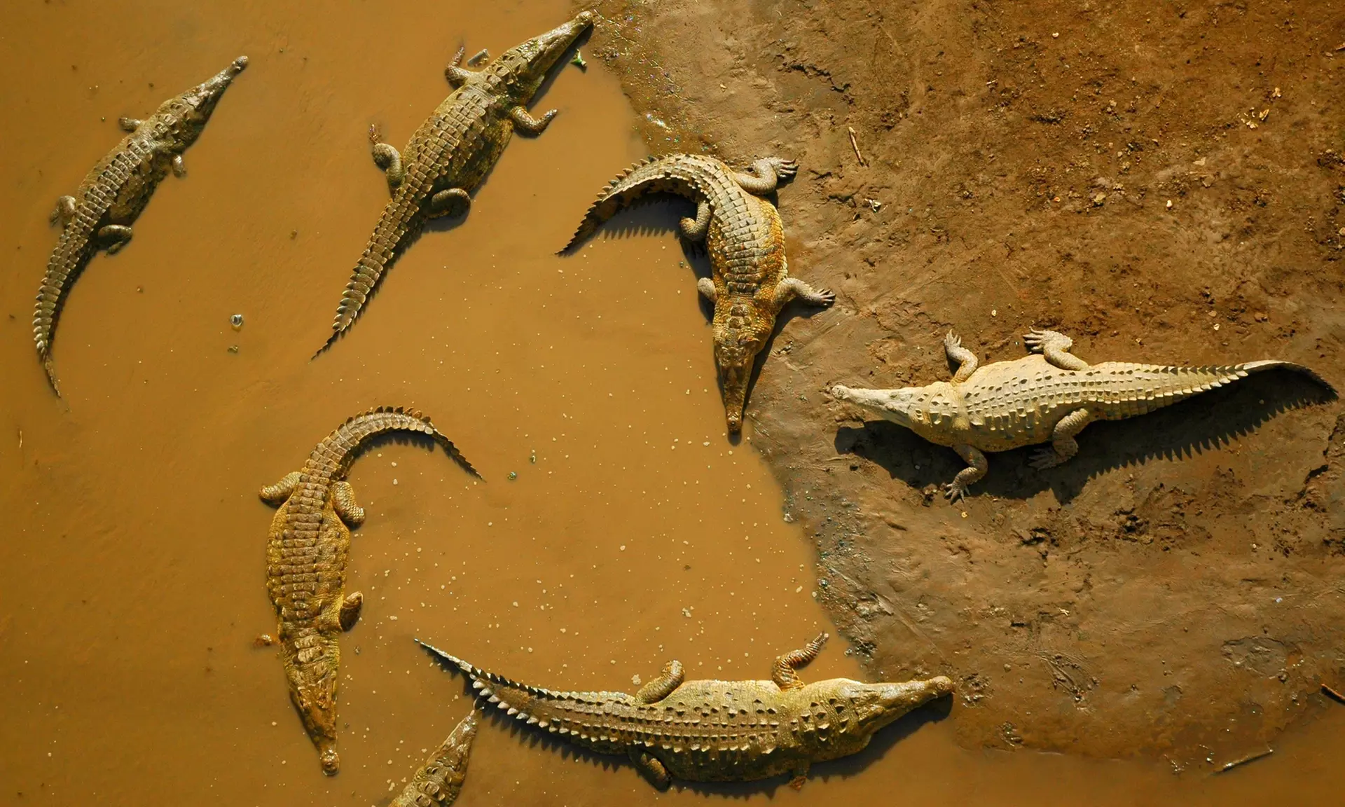 ✈ 12-Day Ultimate Costa Rica RoadTrip w/ Air, Hotel & Car from Worldee