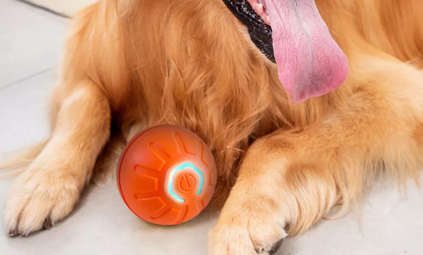 Image 5: Vibrating Ball For Pet