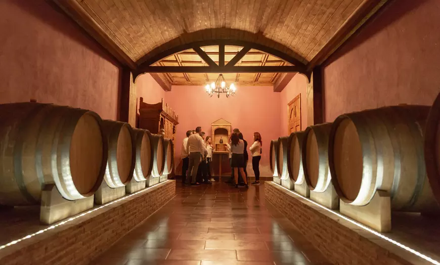 Image 24: Visita guiada a bodega con cata de 4 vinos, 2 AOVE y embutidos