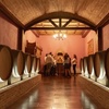 Image 24: Visita guiada a bodega con cata de 4 vinos, 2 AOVE y embutidos