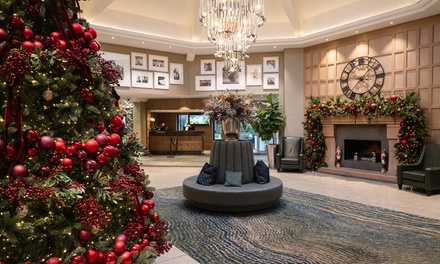 For One: Fire & Ice with Two Course Lunch - The Belfry