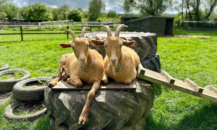 Image 2: Entry to Totnes Rare Breeds Farm with Summer Availability
