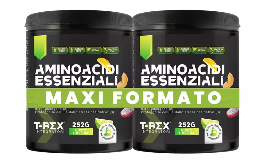 Image 18: Aminoacidi essenziali, glutammina e arginina T-Rex Integratori