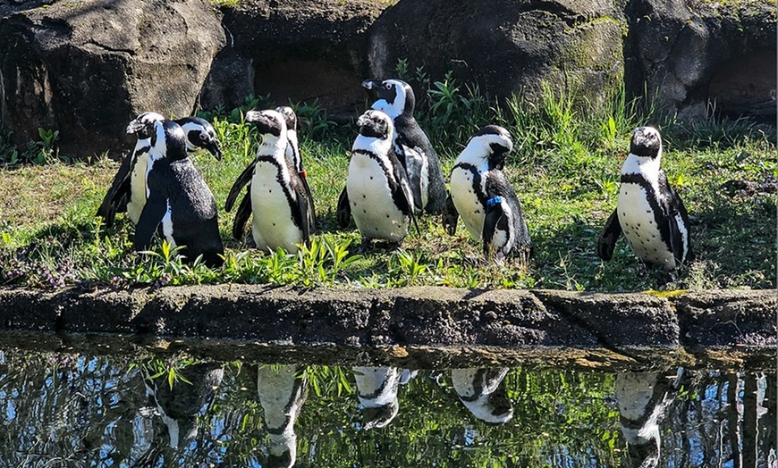 Image 5: Save 50% on GetOut Ohio Membership - A Year of Attractions & Fun! 