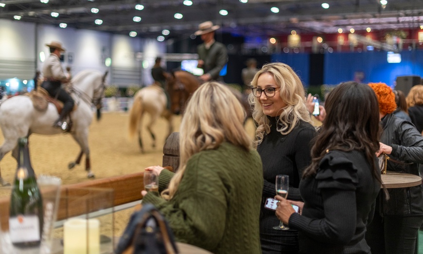 Image 10: The London International Horse Show at ExCeL - 19th-22nd December 2025