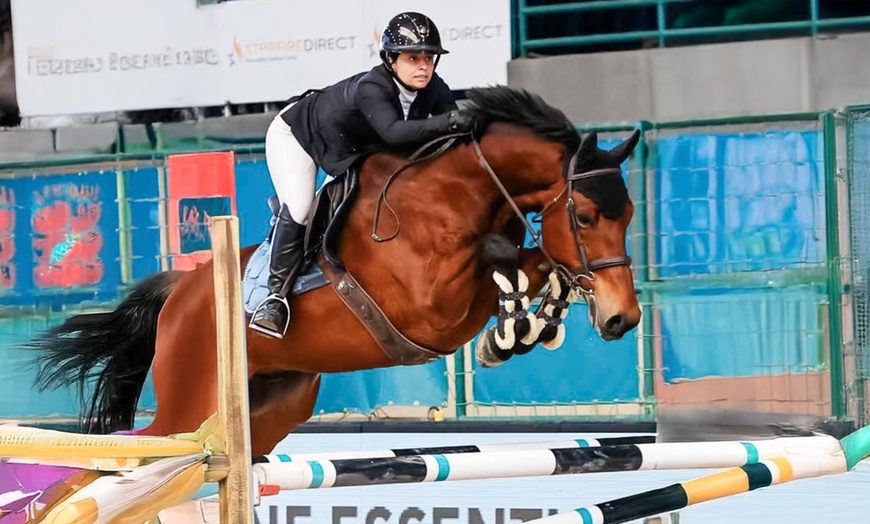 Image 6: Private English Riding Lessons – 45 Minutes