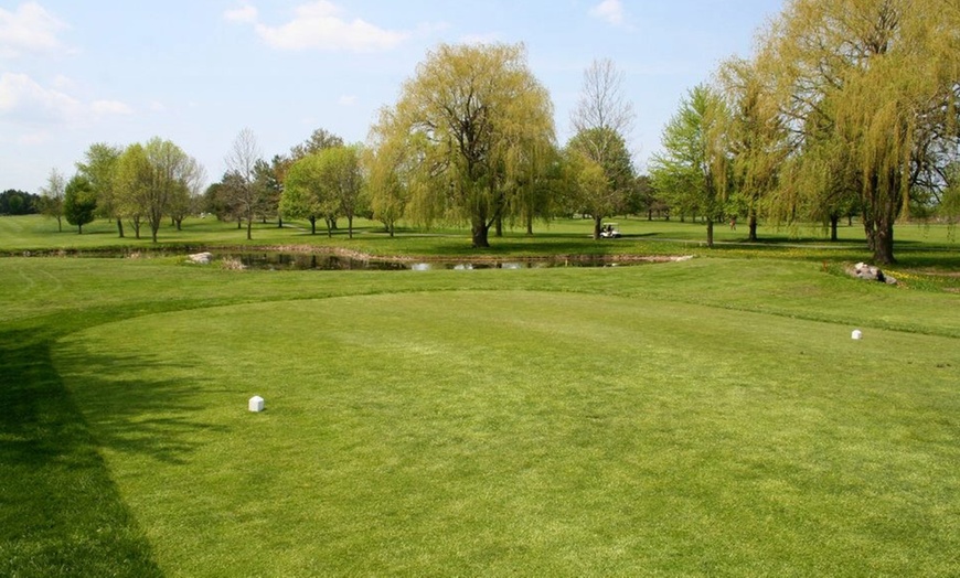Image 4: Championship Golf Rounds & Driving Range – Finger Lakes Region
