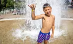 Enjoy Water Park, Alpine Slides & Go-Karts Adventure in Minnesota