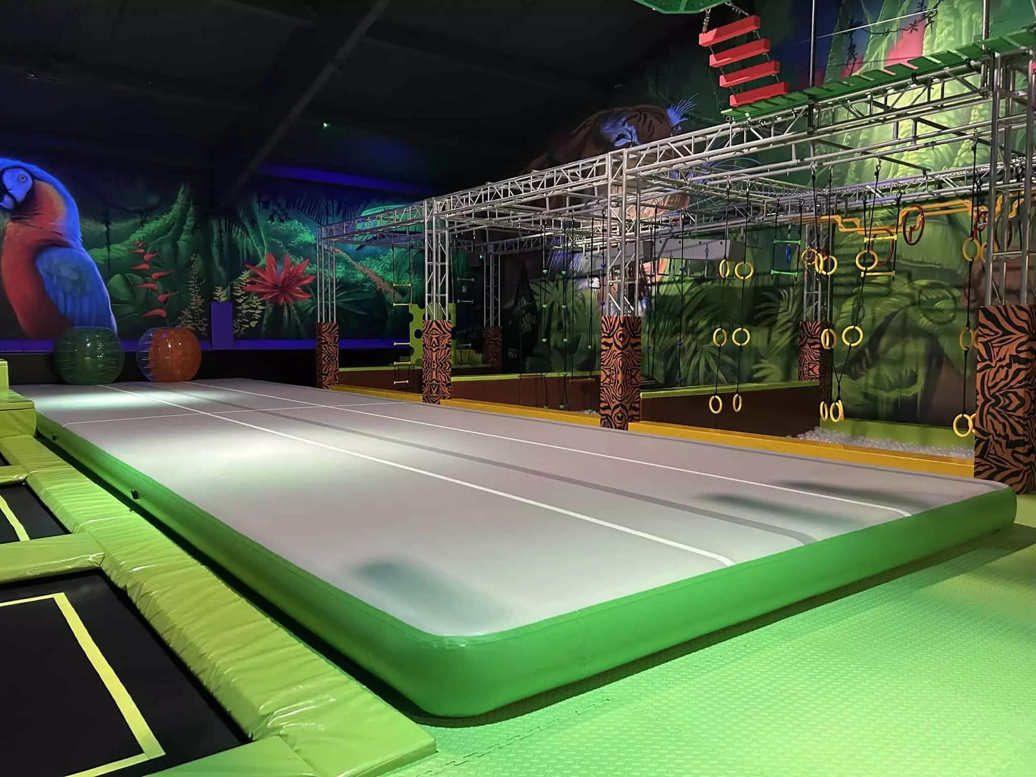 Odlotowa rozrywka w sercu dzikiej dżungli: codzienne bilety wstępu