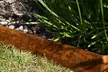 Heavy Duty Metal Border Edging - 4 Colour Options - Pack of 4 - Image 5
