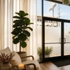 Image 6: 30, 60, or 90-Min Couples Full Body Massage