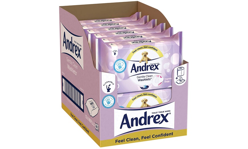 Image 7: Andrex Toilet Tissue Wipes