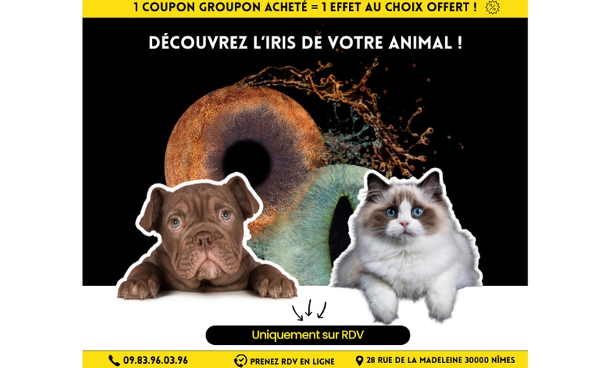 Image 14: Vos yeux, une œuvre d'art : capturez l'essence de votre iris