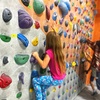 Image 2: The Wall Climbing and Yoga - Bouldering, Yoga, and Mindful Movement