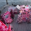 Image 4: VIP General Admission with Flex Pass Ticket to Pink Pier
