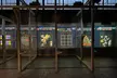 Discover Exciting One Hour Glow Dark Axe Throwing for Up to 4 People in 1 or 2 Lanes @Lumberjaxe (Up to 39%Off) - Second Medium