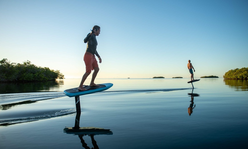 Image 1: 60- or 120-Minutes eFoil Session for One Person with Board Rental