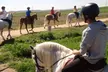 Paseo a caballo de 1 hora por entorno natural para todos los niveles para 1, 2 o 4 personas; ahorra hasta un 26% - Second Medium