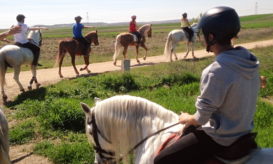 Image 6: Paseo a caballo en entorno natural para cualquier nivel (hasta 4 pax.)