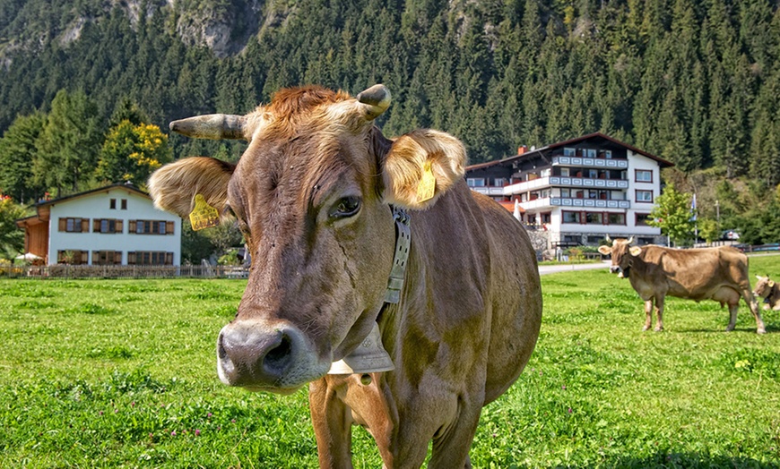 Image 4: Allgäu: 2–7 nocy dla 2 osób z opcją All Inclusive i strefą wellness