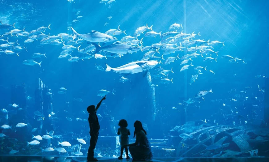 Image 5: Explore the Lost World Aquarium – Entry for Kids, Adults & Families