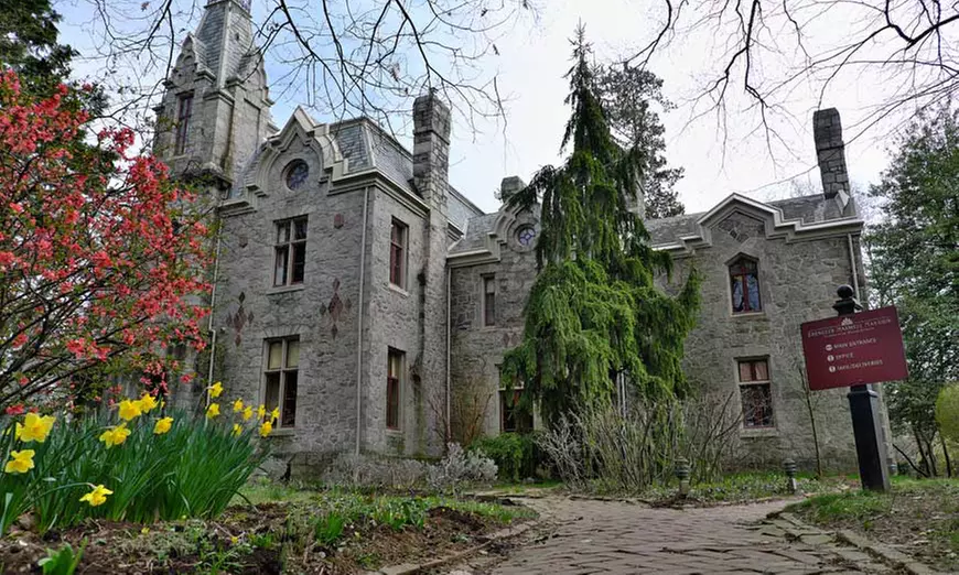 Discover Stories of the Past on Ebenezer Maxwell Mansion Tour