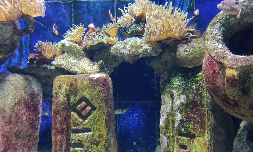 Image 2: Explore the Lost World Aquarium – Entry for Kids, Adults & Families