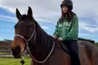 Discover One-on-One Horseback Riding Sessions or 1.5-Hour Introduction to Horses & Riding (Up To 36% Off) - Second Medium