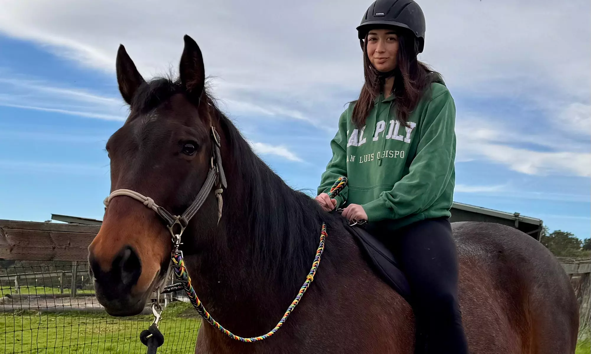 Discover Private Horseback Riding Session or Intro to Horses & Riding