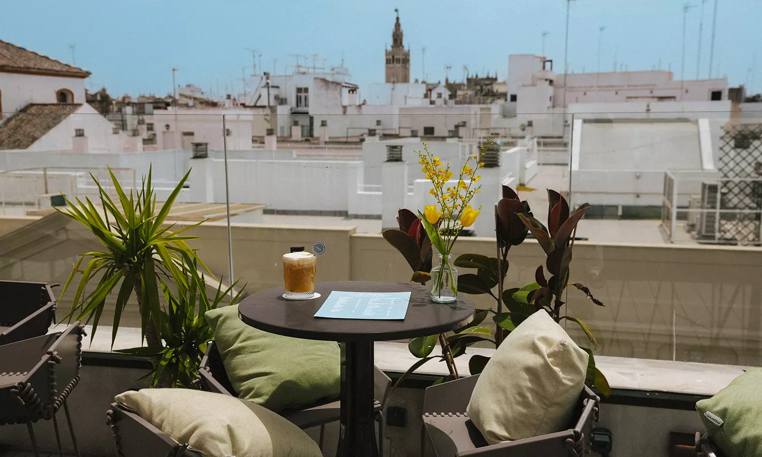 Botella de cava, vino o Moët con trufas, quesos y macarons para 2