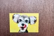 Lovely Little Cards Custom Photo Magnets – Personalized Holiday Gifts & Keepsakes for Family & Friends - Second Medium