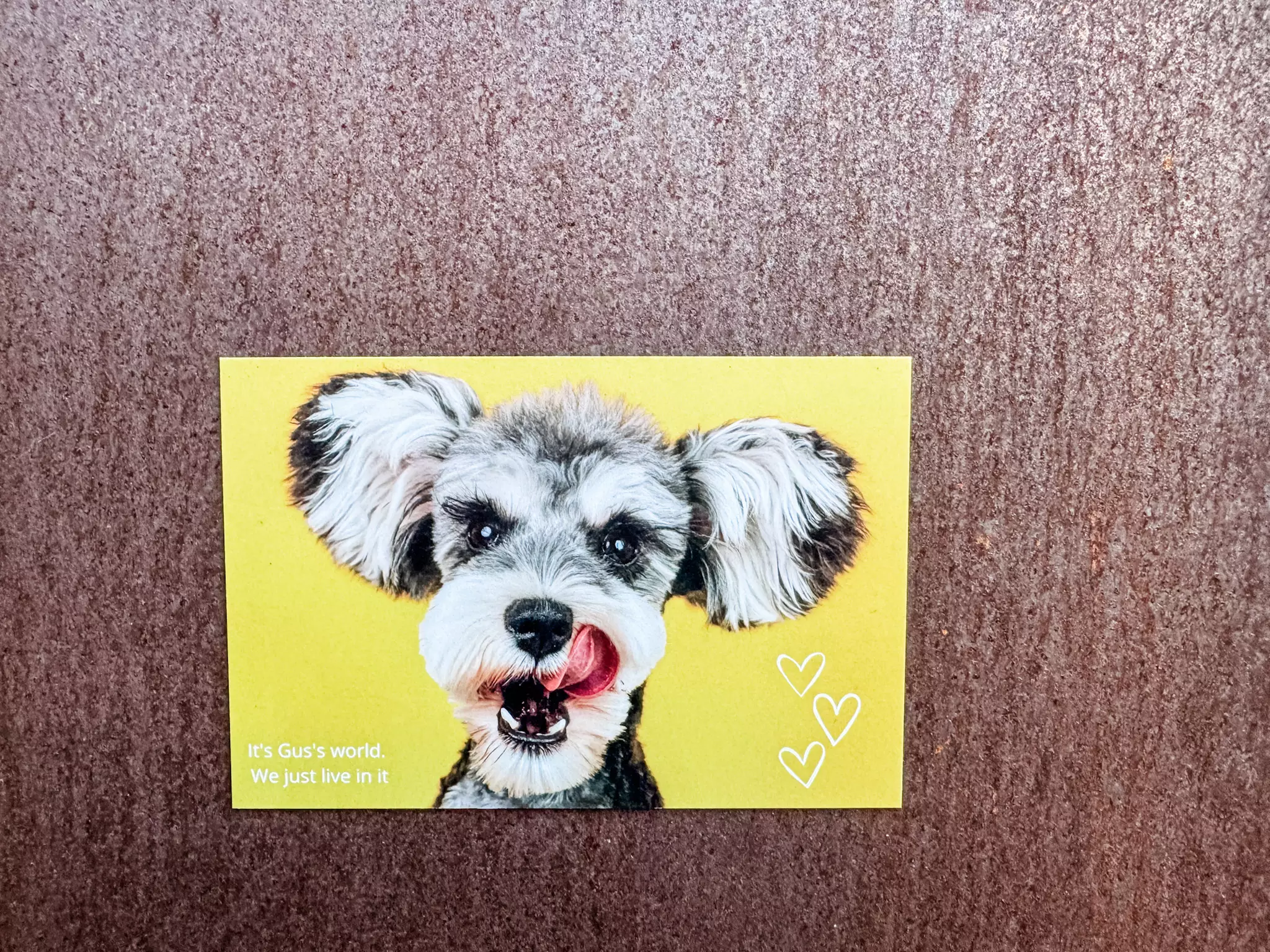 Customizable Magnets | Personalized Photo Gifts, Keepsakes & Décor