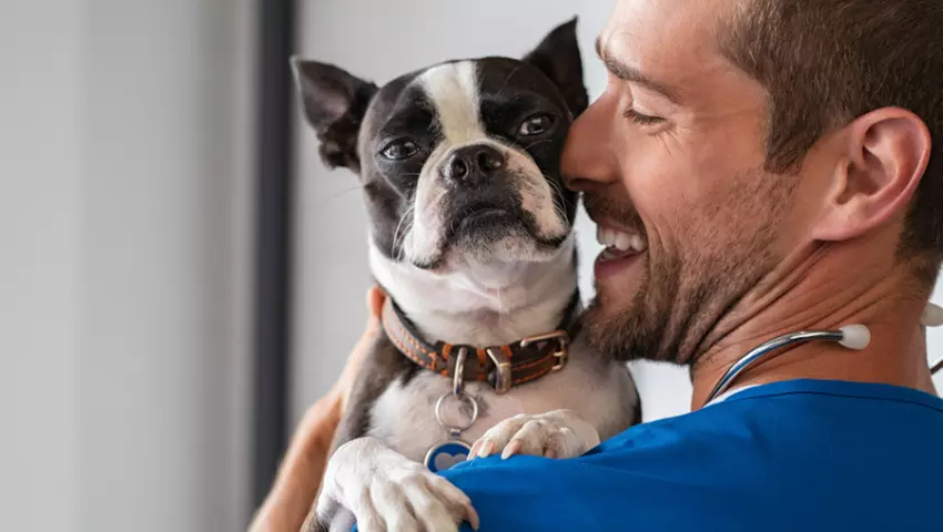 For All Pet Lovers: Online Single Course, 3‑Course or 5‑Course Bundle