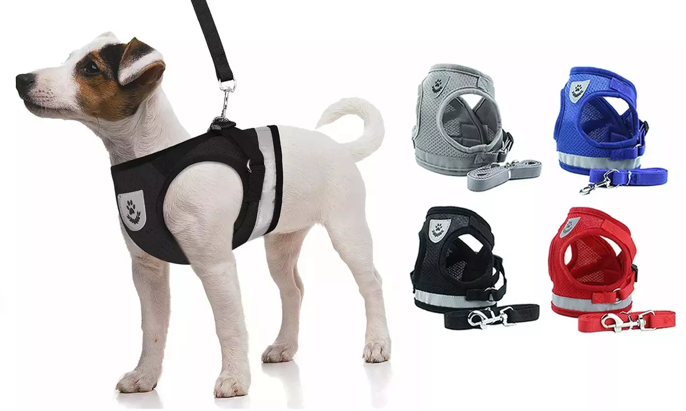 Small Dog Cat Harness Pet Adjustable Collar Reflective Vest Lead With Leash