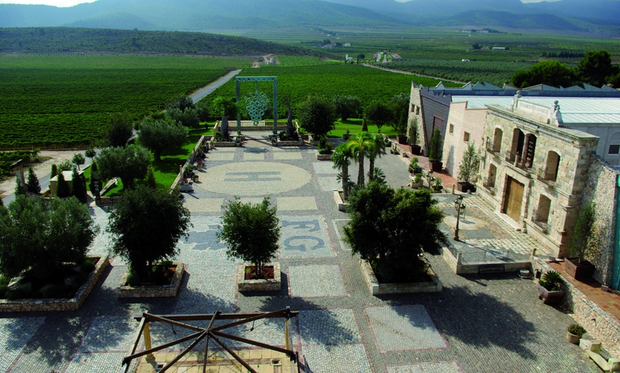 Image 6: Visita guiada a bodega con cata de 4 vinos, 2 AOVE y embutidos