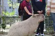 Admission Tickets to Houston Aquarium and Animal Adventure plus Arcade Credits - Up to 39% Off! - Second Medium