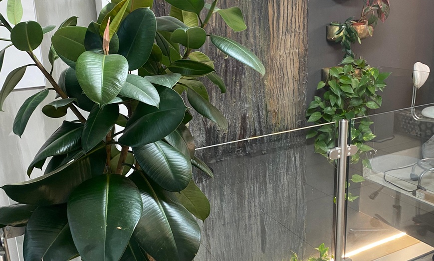 Image 10: Save Up to60% Off on Expert Microblading & Permanent Makeup 