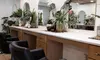 Revamp Your Look with Haircut, Blow-dry, Conditioning, Highlights, or More, Enjoy Up to 58% Off At Hair By Michele